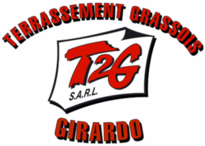 T2G